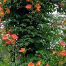 경암농장 이미지