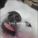 손가헤어