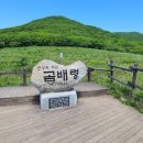 강산화원 이미지