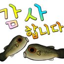 쌍용자동차 정비사업소 이미지
