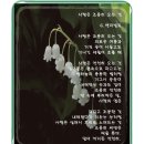 G.밴더빌트 / 사랑은 조용히 오는 것 이미지