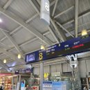 뉴스카이모텔 | 세부 막탄 호텔 특가 예약 샹그릴라 리조트 아이와 호캉스 패키지 가족여행 후기