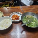 백초(남) | 대전 광천식당 두부두루치기 후기 ( 배탈남 , 진짜 매움주의)