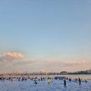 이마트24하단동매점 | [경험🏊‍♀️]난지한강수영장 / 파라솔 / 인생샷 포인트 / 매점간식 // 합정 로타리