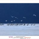 백조공원 이미지