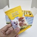 언니네 펫 | 강아지물티슈 마스코타 미니 펫티슈 반려견 산책용품 휴대하기 좋아요