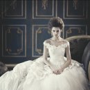 &#34;세상에서 가장 아름다운 날개옷 &amp; 웨딩드레스&#34; 이미지