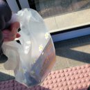 회포마을 | 회포풀기