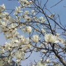 손불농장 이미지