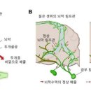 청소는과학이다 이미지