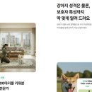 엄마 잘 다녀와 네이버블로그