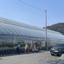 미림농장 이미지