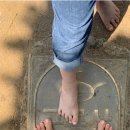 대지로2R | 🌸 봄바람과 함께 찾아온 기적, 맨발 걷기. 하지만 암 환우라면?