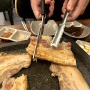 신세계꽃돼지 이미지
