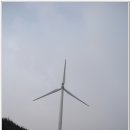 오목골 Daum카페