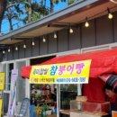 돌머리 696 이미지