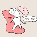 셋째날 이미지