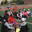 횡성초등학교 Daum카페