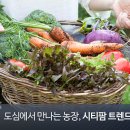 시티농장 이미지