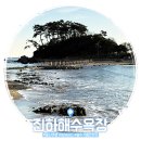 진하해수욕장 백사장 | 진하해수욕장 : 울산여행 울주 가볼만한곳 아침바다 (명선도 야경 운영중단)