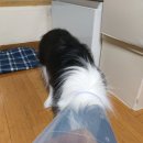 방배한강동물병원 이미지