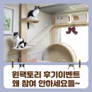 이든캣 | 윈팩토리 후기 이벤트 참여 왜안해요!!!집사님들아!!