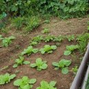 동신농장 이미지