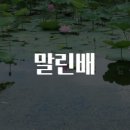 배*진 이미지