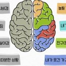 브레인링크 네이버블로그