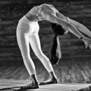 이유주 카카오 검색결과