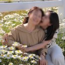 인연목장 | [제주 가족 스냅] 데이지 만개한 한국마사회목장 앞 모녀 촬영 후기