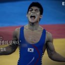 코스모스주짓수