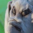 기형농장 이미지