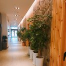 더킹 스크린골프 이미지