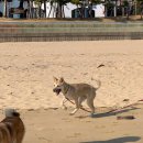 순정민박 이미지