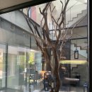 코너스톤310 이미지