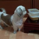 용현초등학교 이미지