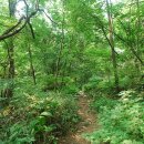 미산-1 이미지