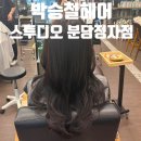 [분당] 정자동 미용실 박승철 헤어스투디오 분당 정자점 / 지웅 부원장 톤다운 블랙커런트 염색 후기!