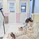 카밍캣 고양이미용 이미지