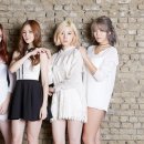 다이아 카카오 검색결과