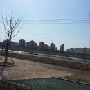 신용초교 이미지