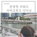 아이샵(i#) | 아이랑 싱가포르 관광청 크루즈 예약 꿀팁 무료 바우처 /리버크루즈 저녁 5시