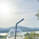 어썸80 더대청 :: 대전 대청호 반려동물 동반 카페추천 힐링 그 자체 | 내돈내산