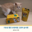 루루테라피 | 보양대첩 고양이습식캔 금체질 루루가 반한 기호성 좋은 고양이간식