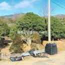 주암면 행정복지센터 이미지