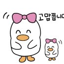 최은아헤어 이미지