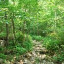 오지 1리 이미지