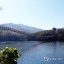 멋다리