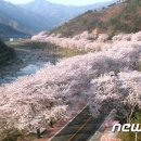하동 이미지